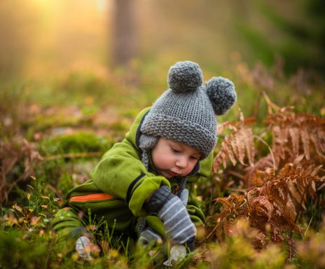 A young child in a grey hat explores the forest floor among ferns and foliage.